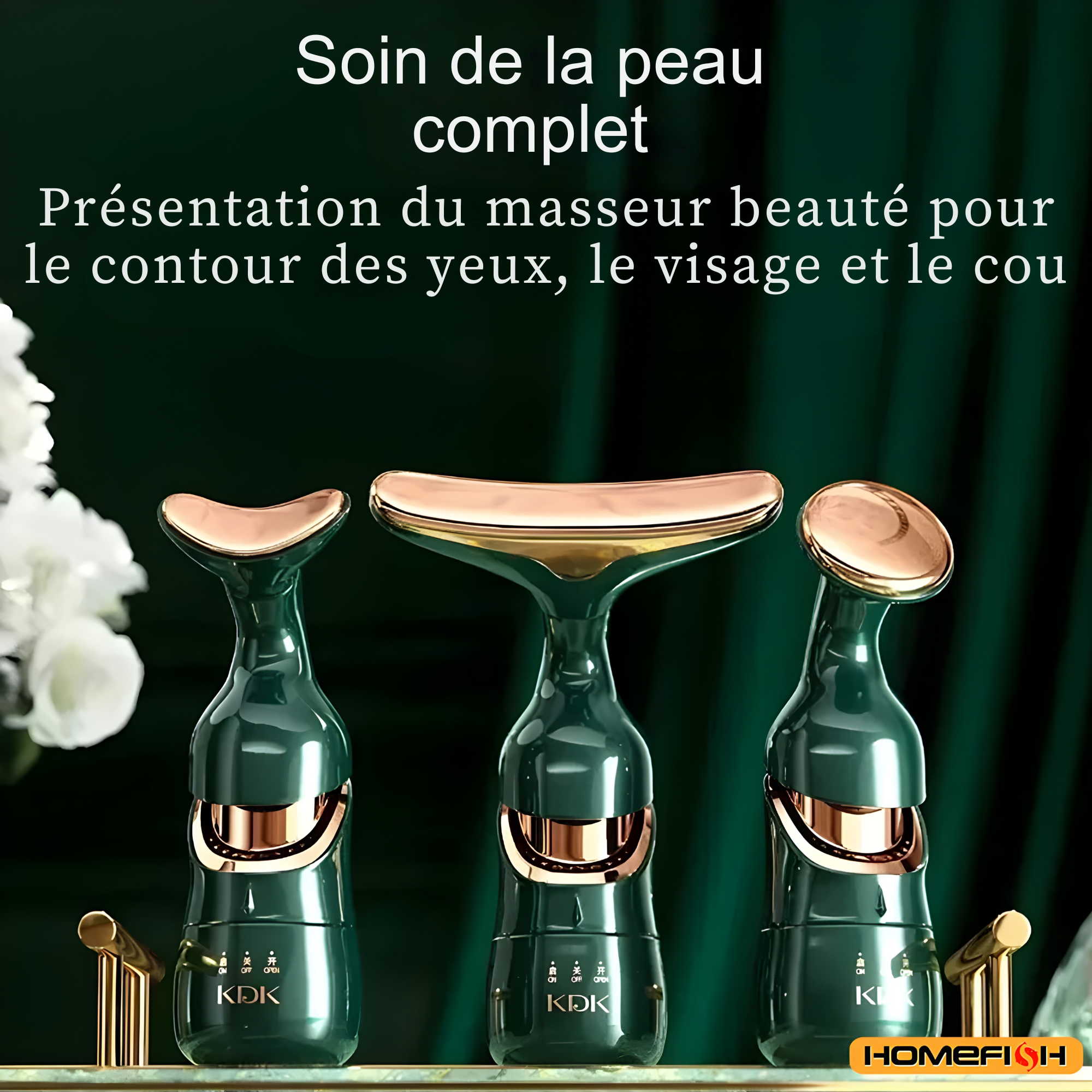 HOMEFISH Appareil Lifting Visage 3-en-1 EMS – Massage Visage & Contour des Yeux