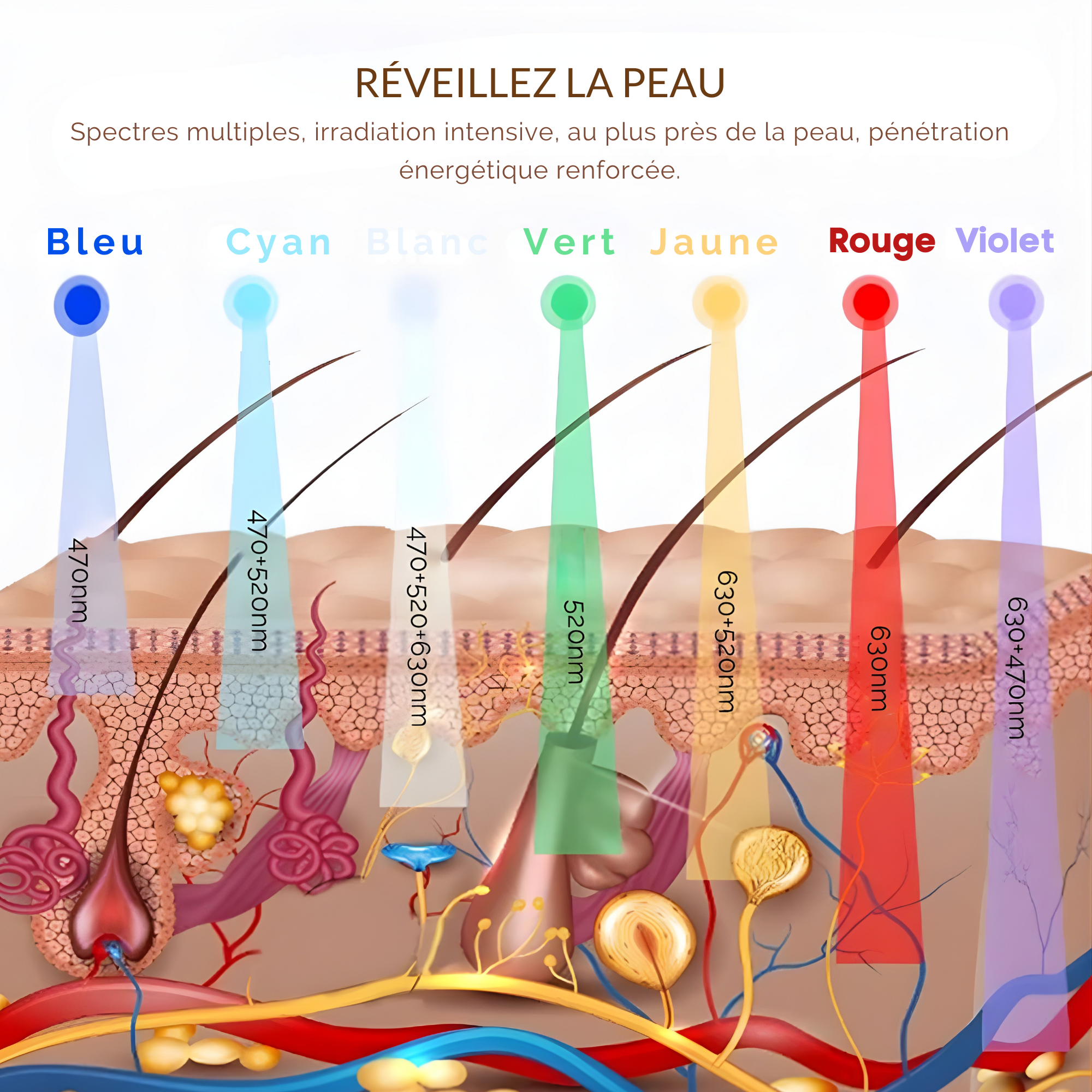 Masque LED Visage Rechargeable | Soin Professionnel Anti-Âge et Éclat